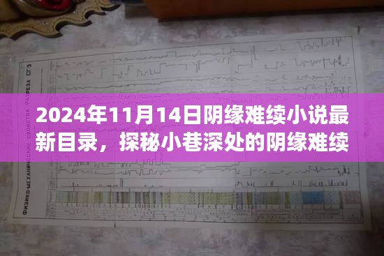 探秘隐藏版特色小店，阴缘难续小说秘境的最新故事之旅（2024年11月14日最新目录）