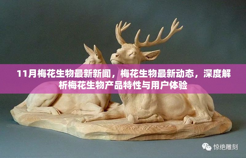 深度解析梅花生物产品特性与用户体验，最新动态及新闻回顾