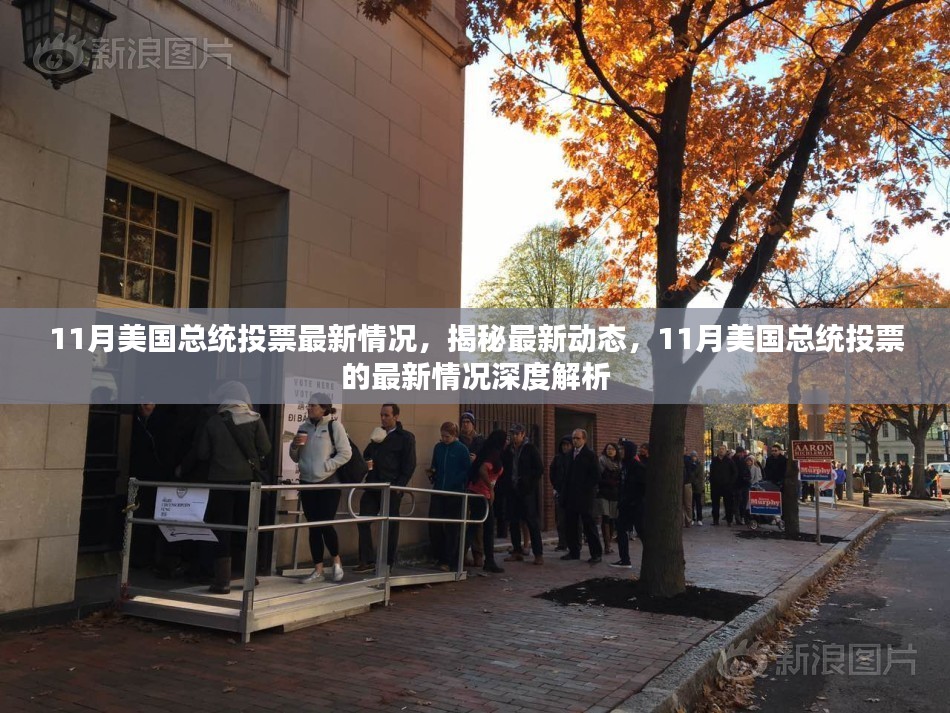 揭秘深度解析，美国11月总统投票最新动态与深度解析