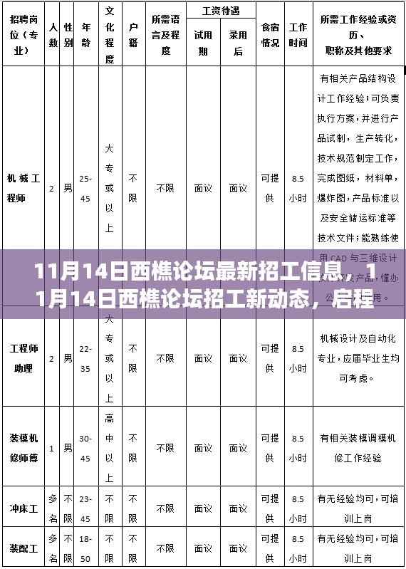 11月14日西樵论坛招工最新动态，启程寻找内心的宁静与平和之旅