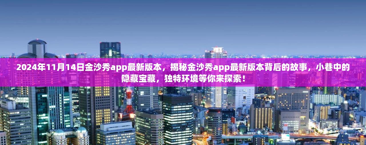 金沙秀app最新版本揭秘，小巷中的隐藏宝藏，独特环境等你来探索（2024年11月14日）