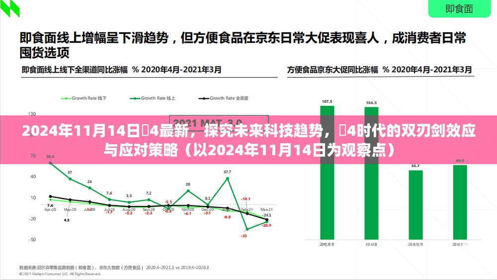 2024年观察，探究未来科技趋势下的姉4时代双刃剑效应与应对策略