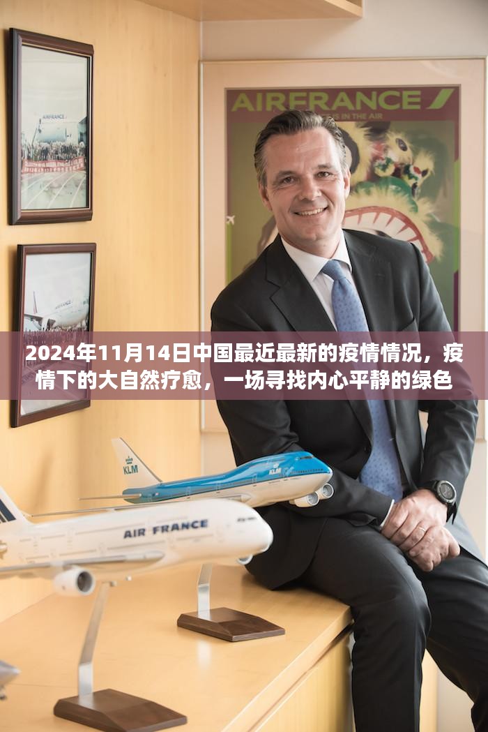 2024年疫情下的绿色疗愈之旅，中国最新疫情情况及自然中的内心平静寻找