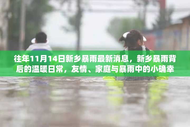 新乡暴雨背后的温暖日常，友情、家庭与暴雨中的小确幸——最新消息报道（往年1月14日）