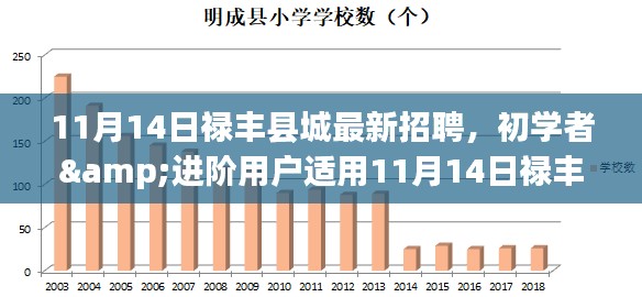 11月14日禄丰县城最新招聘求职指南，适合初学者与进阶用户