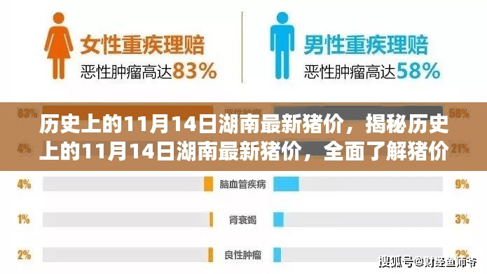 揭秘历史湖南猪价走势，深度解析11月14日最新猪价及查询技巧