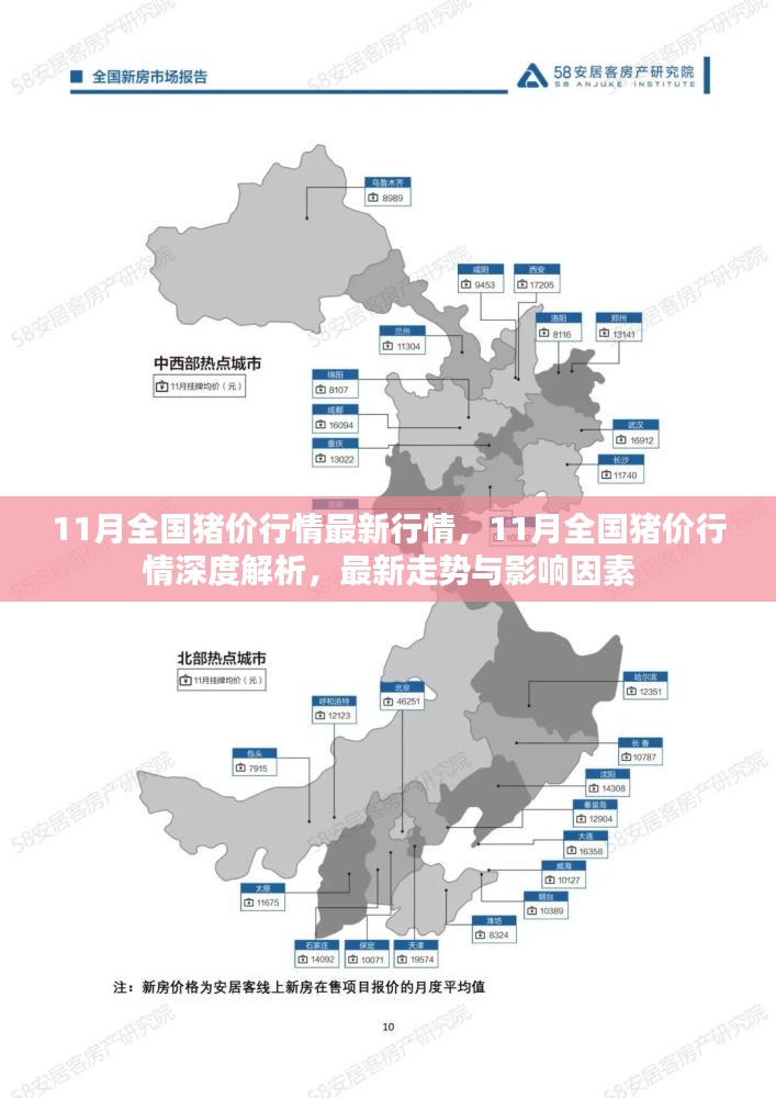 11月全国猪价行情深度解析，最新走势、影响因素与预测