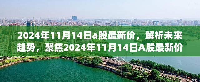 聚焦最新动态，解析2024年11月14日A股行情与未来趋势展望