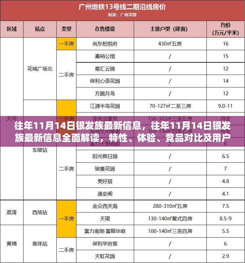 往年11月14日银发族最新信息解析，特性、体验、竞品对比及用户群体深度分析