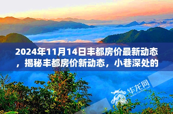 揭秘丰都房价最新动态，小巷特色小店与环境魅力，2024年房价展望