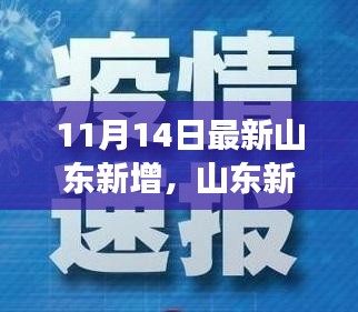 山东新增病例趋势下的社会观察与思考，最新报告揭示的启示（11月14日）