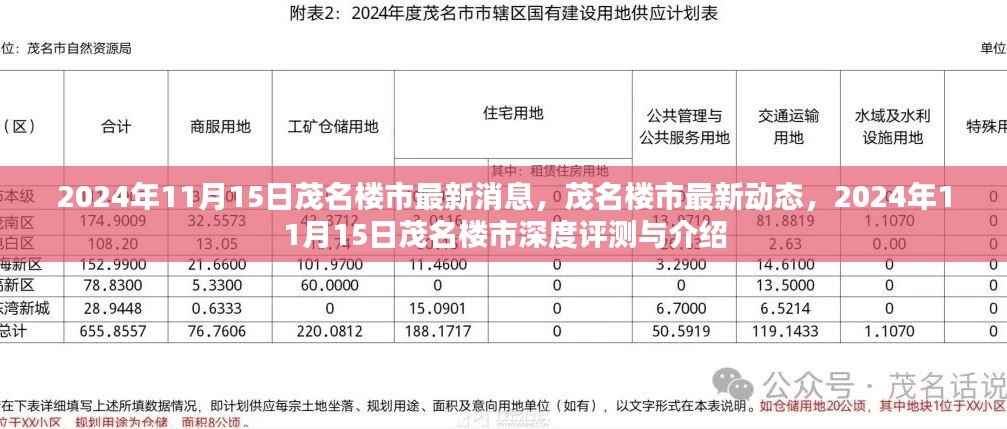 2024年11月15日茂名楼市深度评测与最新动态