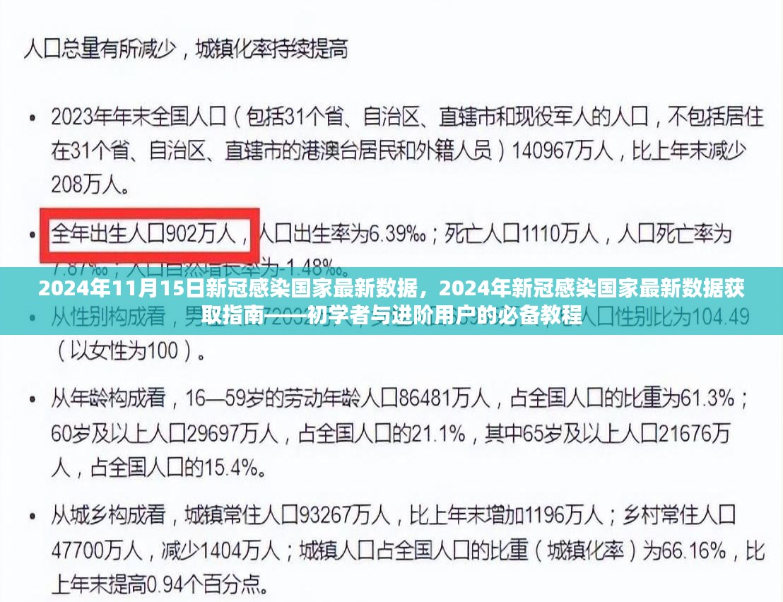 2024年新冠感染国家最新数据指南，初学者与进阶用户的必备教程