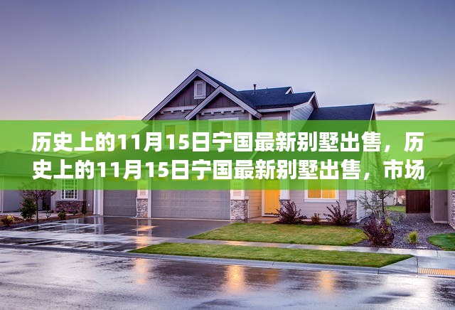 历史上的11月15日宁国最新别墅出售，市场趋势与观点深度探讨