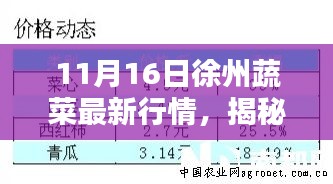 徐州蔬菜最新行情动态及趋势分析（揭秘最新行情报道）