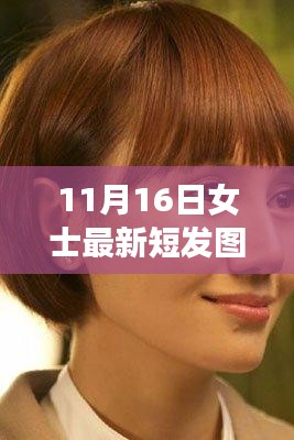 最新女士精选短发造型，深度解析与全面评估，11月流行趋势回顾