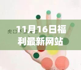 初学者与进阶用户必看，11月16日福利最新网站使用指南