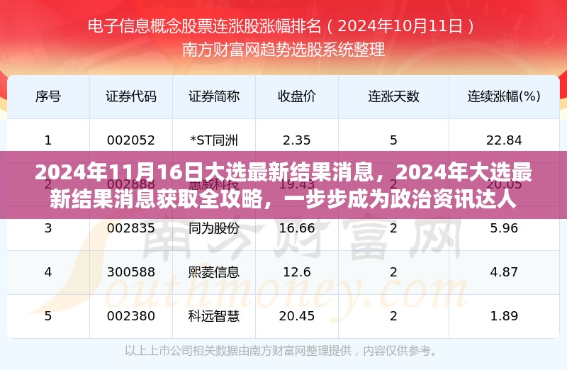 2024年大选最新结果消息全攻略，掌握资讯，成为政治资讯达人