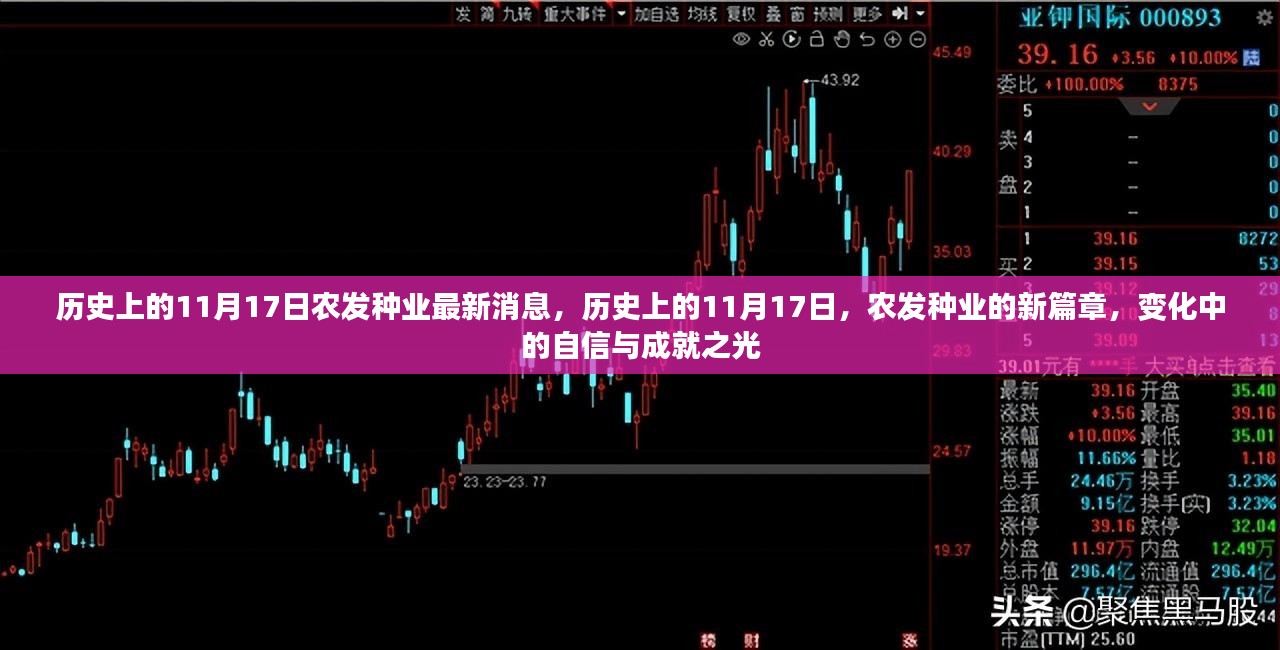 历史上的11月17日农发种业新篇章，自信与成就之光闪耀变化之路