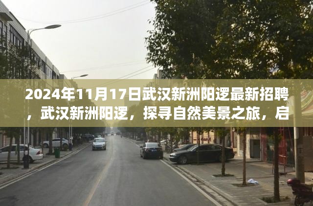 武汉新洲阳逻最新招聘启事，启程心灵之旅，探寻自然美景与职业发展机会