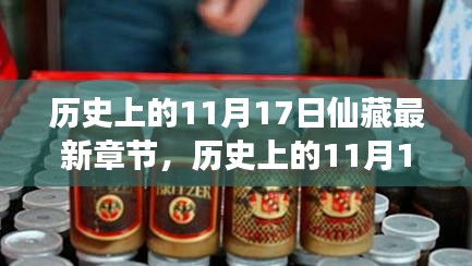 历史上的11月17日与仙藏最新章节，自信成就梦想之旅的启示录