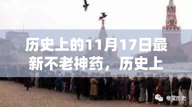 揭秘不老神药的传奇，历史上的不老神药最新进展与揭秘（11月17日）