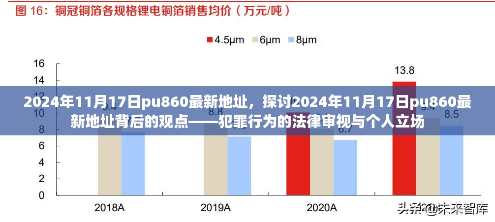 关于犯罪行为的法律审视与个人立场，解读pu860最新地址背后的观点分析