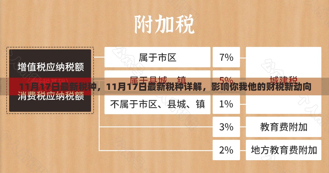 11月17日最新税种详解，财税新动向及其影响