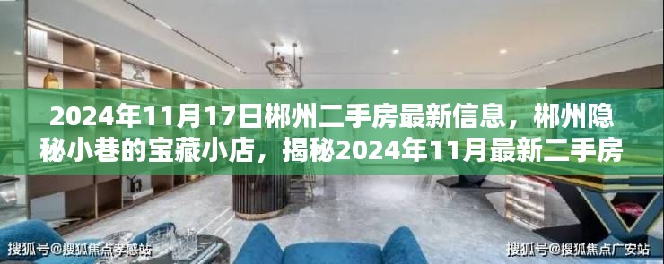 2024年郴州二手房最新信息及隐秘小巷宝藏小店揭秘