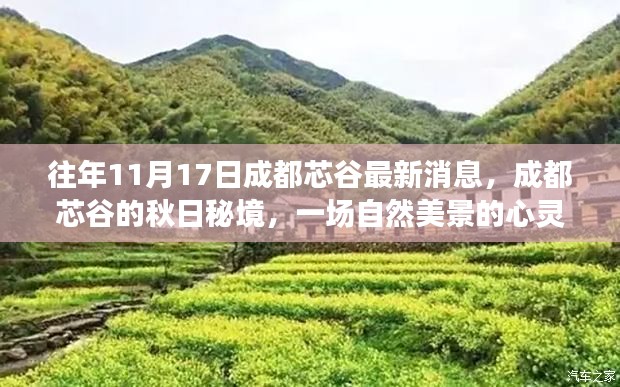 成都芯谷秋日秘境，自然美景的心灵之旅揭秘最新消息