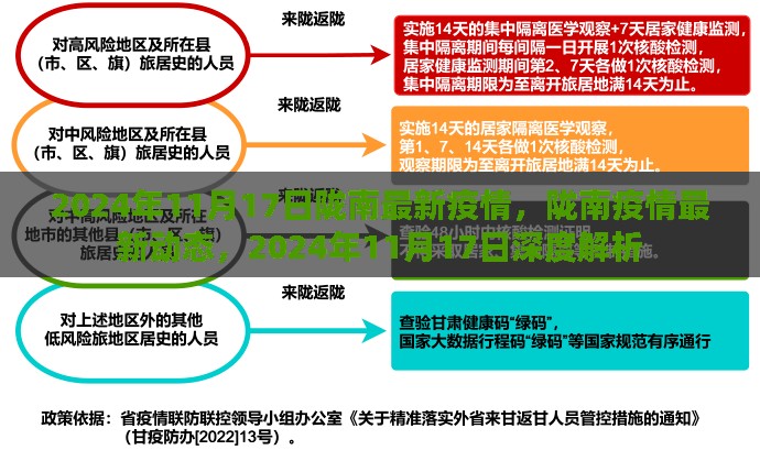 2024年11月17日陇南疫情最新动态与深度解析