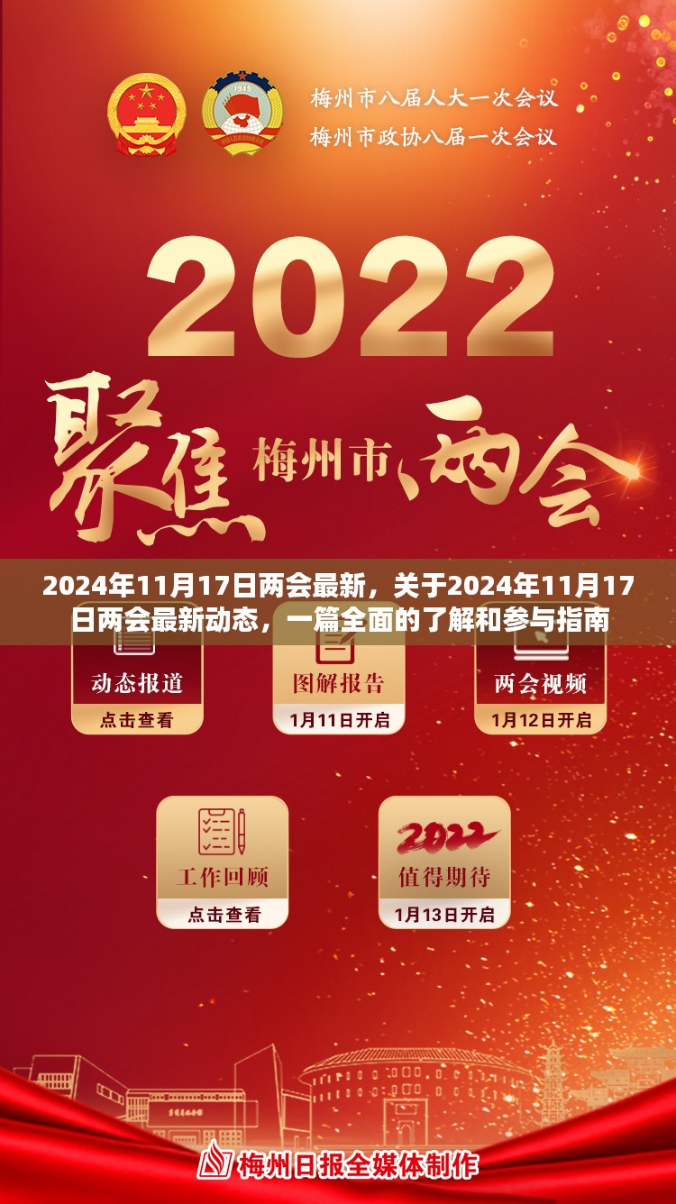 2024年11月17日两会最新动态，全面参与指南