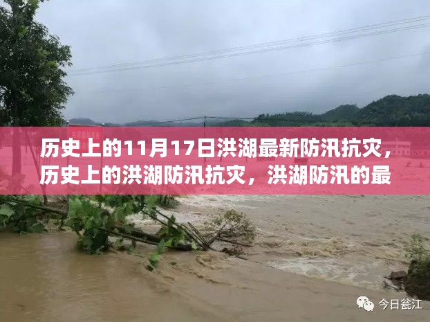 洪湖防汛抗灾最新进展深度解析，历史上的11月17日与洪湖市防汛抗灾实录