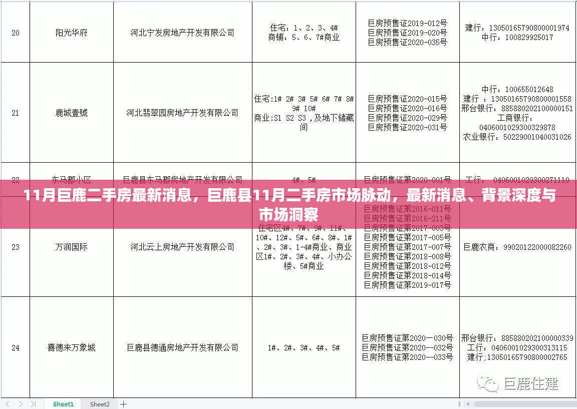 巨鹿县二手房市场最新动态，深度解读市场脉动与趋势分析