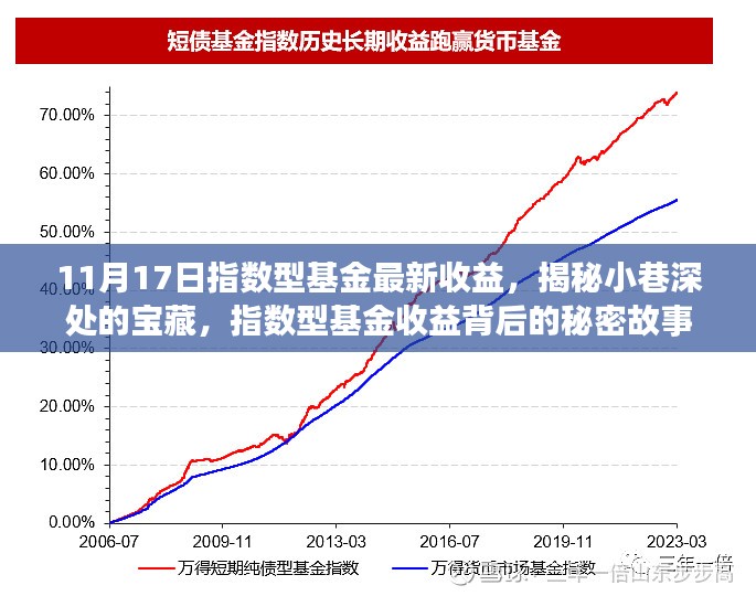 揭秘指数型基金收益背后的秘密故事，小巷深处的宝藏，最新收益一览（11月17日）