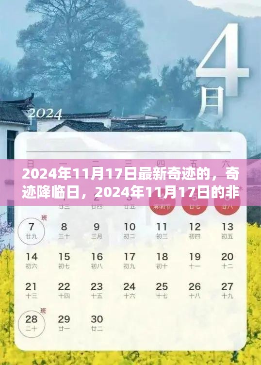 奇迹降临日，2024年11月17日的非凡时刻