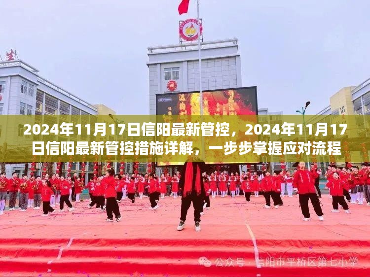 2024年11月17日信阳最新管控措施详解，掌握应对流程的必备指南