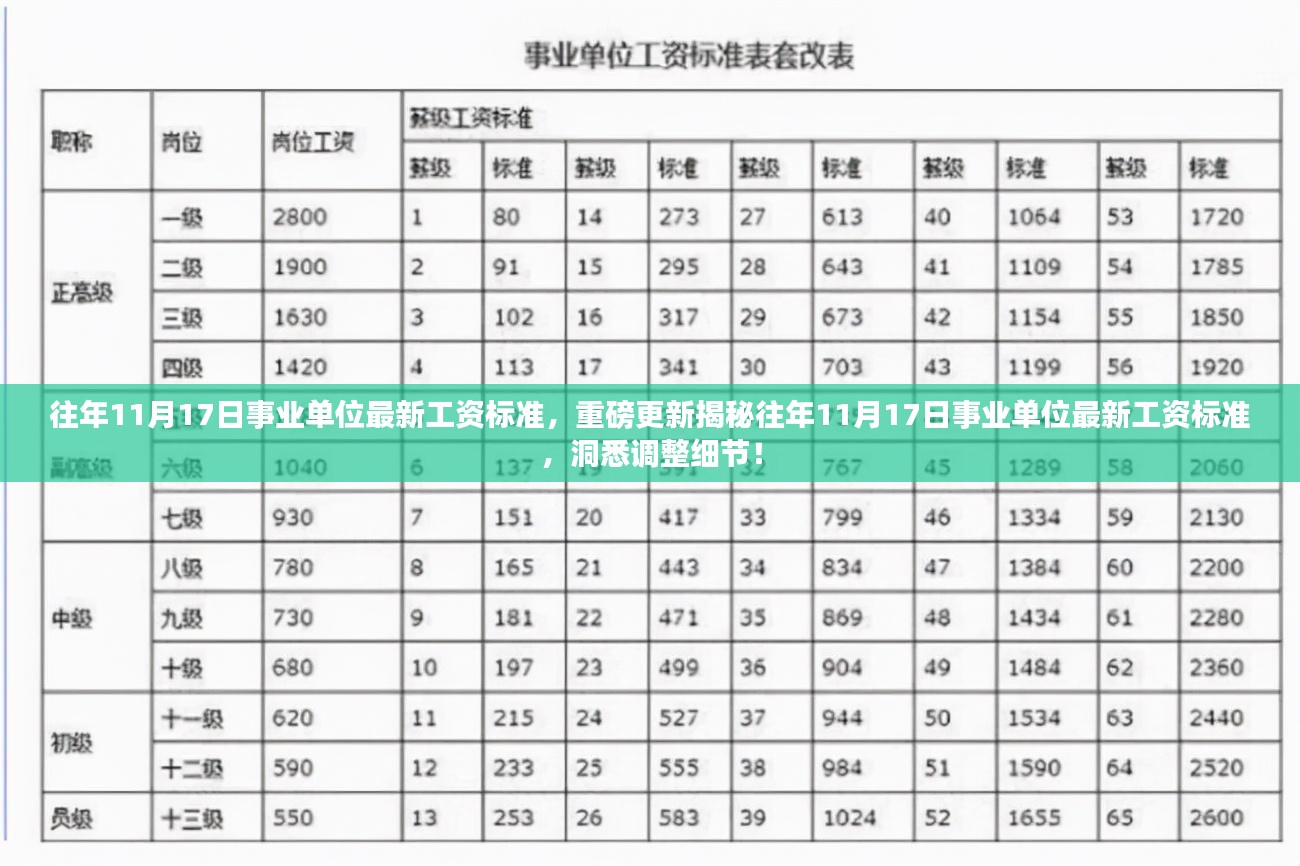 揭秘事业单位最新工资标准，深度解读往年11月17日调整细节与最新标准！