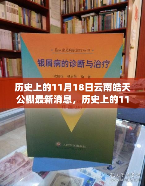 历史上的11月18日深度解析，云南皓天公棚最新消息及其影响概览