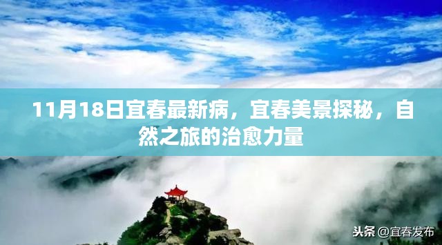 宜春美景探秘，自然之旅的治愈力量与最新疾病关注