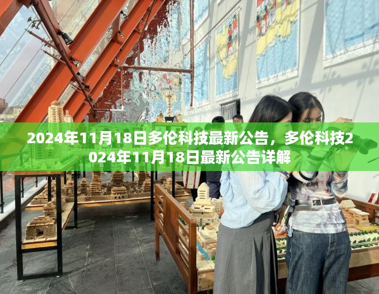 多伦科技最新公告详解，2024年11月18日发布内容摘要