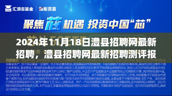 澧县招聘网最新招聘测评报告，深度探索特性、用户体验与目标用户群体分析