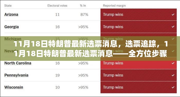 11月18日特朗普最新选票消息，全方位追踪与解读