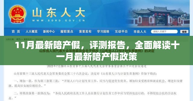 全面解读十一月最新陪产假政策评测报告，陪产假的最新动态与福利保障