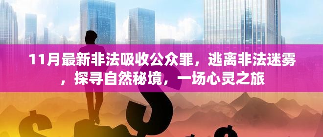 非法吸收公众罪背后的心灵之旅，逃离迷雾探寻自然秘境