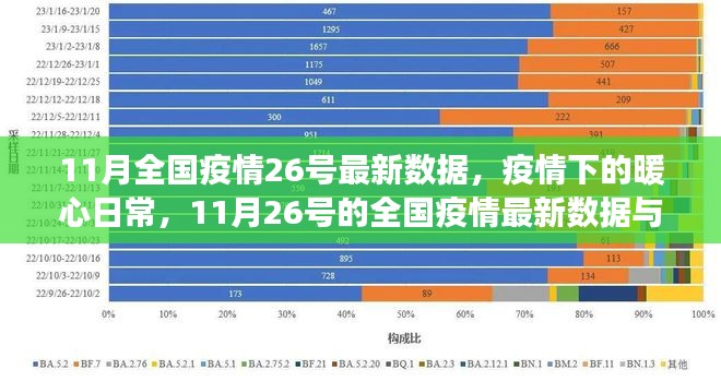 11月26日全国疫情最新数据，疫情下的暖心日常与我们的故事