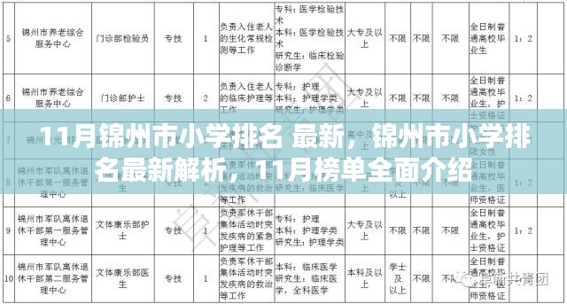 锦州市小学排名最新解析，11月榜单全面介绍