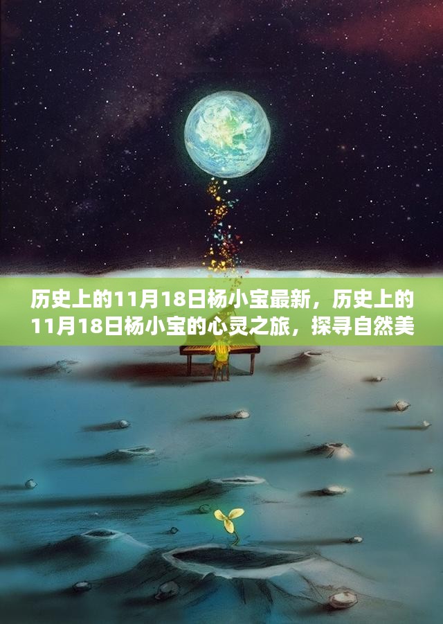 杨小宝的心灵探寻之旅，历史上的11月18日与自然美景的对话寻找内心平静