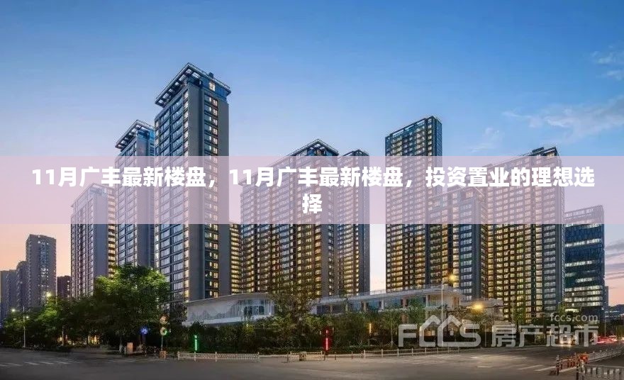 11月广丰最新楼盘，投资置业的理想之选