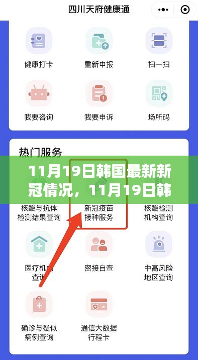 韩国最新新冠疫情动态解析，小红书带你了解前线消息